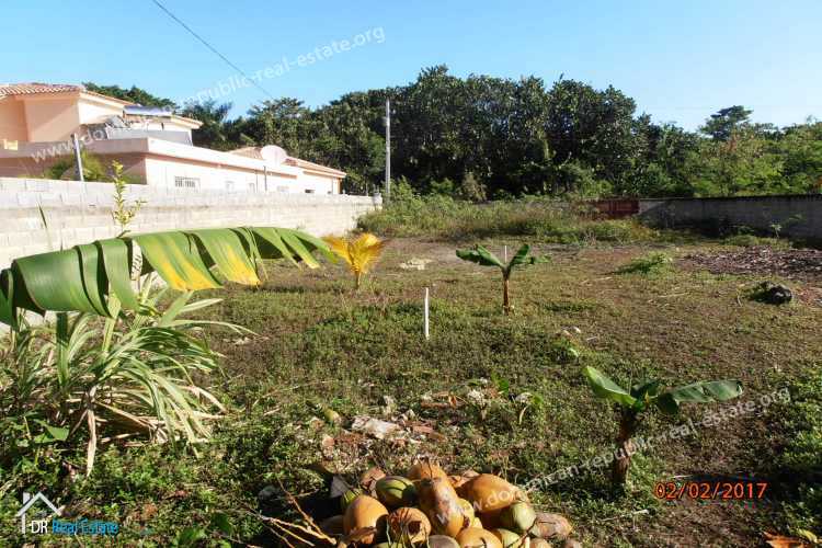 Inmueble en venta en Cabarete - República Dominicana - Inmobilaria-ID: 219-LC Foto: 04.jpg