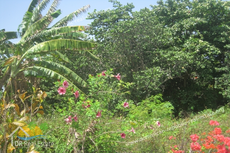 Immobilie zu verkaufen in Cabarete - Dominikanische Republik - Immobilien-ID: 288-LC Foto: 02.jpg