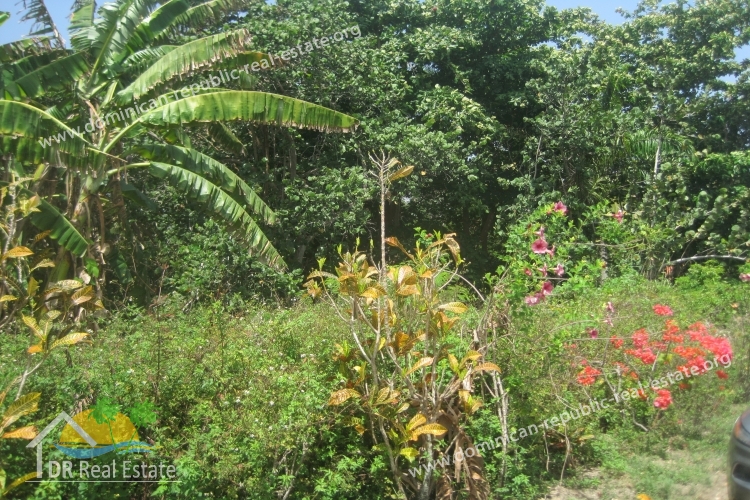 Immobilie zu verkaufen in Cabarete - Dominikanische Republik - Immobilien-ID: 288-LC Foto: 04.jpg