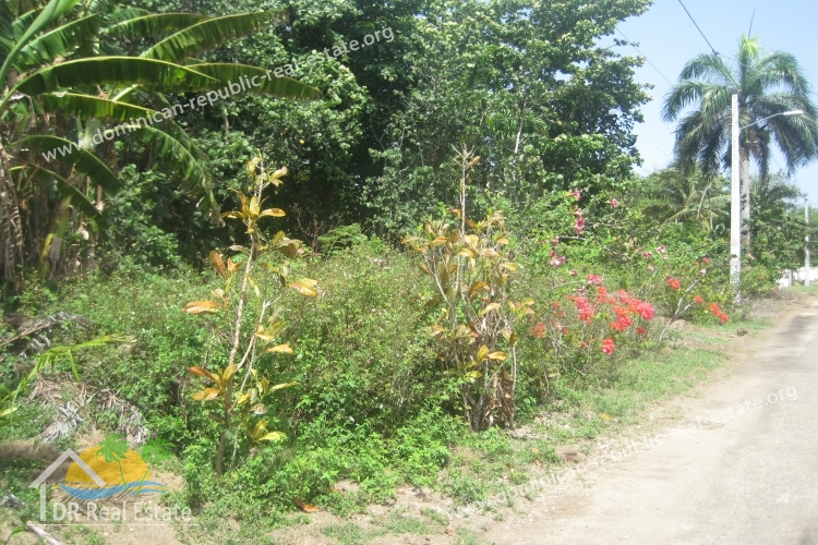 Immobilie zu verkaufen in Cabarete - Dominikanische Republik - Immobilien-ID: 288-LC Foto: 05.jpg